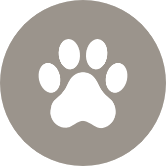 PLAY WITH FIDO AT THE DOG PARK
